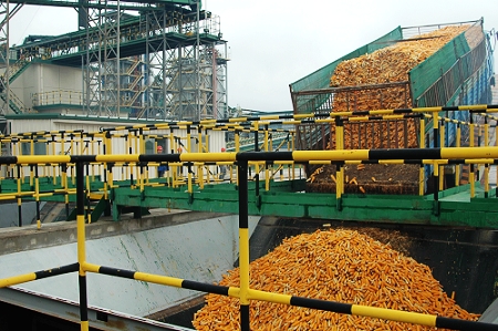 敦煌種業(yè)先鋒良種有限公司酒泉種子加工廠三、四期工程竣工投產(chǎn)