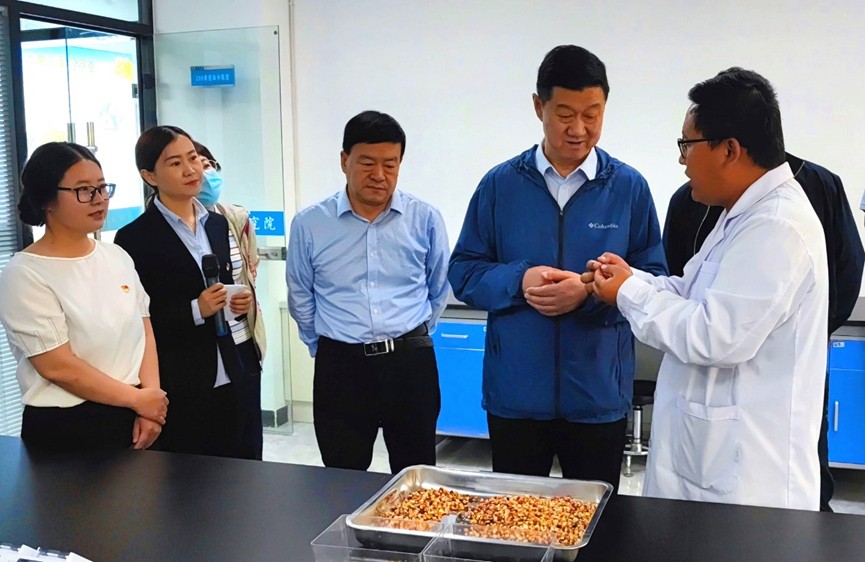 甘肅省地方金融監(jiān)管局、甘肅證監(jiān)局領(lǐng)導蒞臨敦煌種業(yè)調(diào)研指導