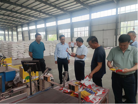 “三抓三促”進(jìn)行時 | 強(qiáng)化落實(shí)解難題 激活企業(yè)促發(fā)展——公司董事長劉興斌一行赴武漢敦煌種業(yè)有限公司進(jìn)行調(diào)研